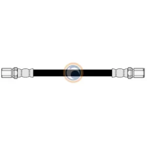 100063 FLEXIBLE DE FRENO