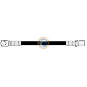 100064 FLEXIBLE DE FRENO
