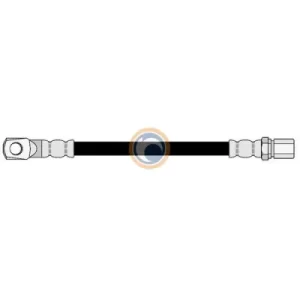 100097 FLEXIBLE DE FRENO
