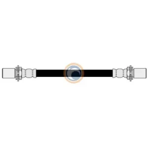 17015 FLEXIBLE DE FRENO