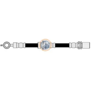 17079 FLEXIBLE DE FRENO