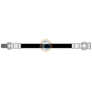 252984 FLEXIBLE DE FRENO