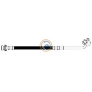 3070 FLEXIBLE DE FRENO