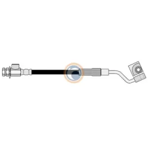 3819 FLEXIBLE DE FRENO