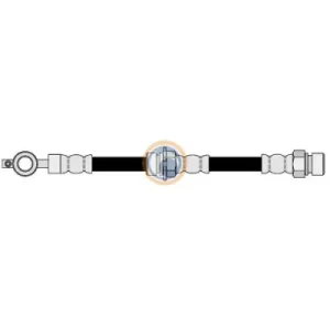 5538 FLEXIBLE DE FRENO