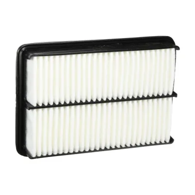 CA10086 Filtro de Aire