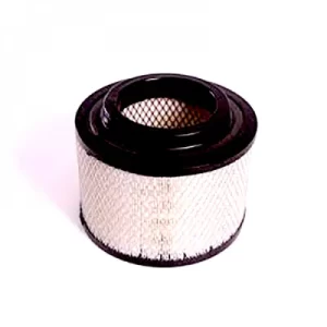 CA10112 Filtro de Aire