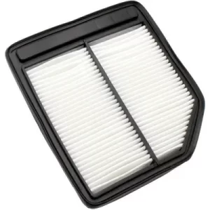 CA10165 Filtro de Aire