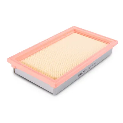 CA10234 Filtro de Aire