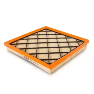 CA10879  Filtro de Aire