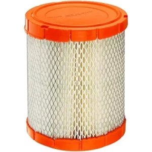 CA11048  Filtro de Aire