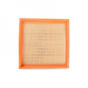 CA3399 Filtro de Aire