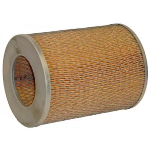 CA4255  Filtro de Aire