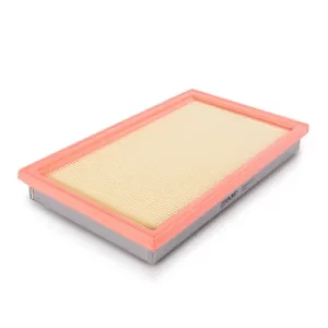 CA4309 Filtro de Aire