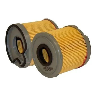 CG8953 Filtro de Combustible