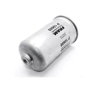 P10689 Filtro de Combustible