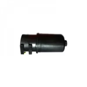 P10695 Filtro de Combustible