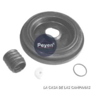 PF-1069 REPARACIÓN SERVO