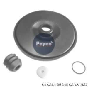 PF-1077 REPARACIÓN SERVO