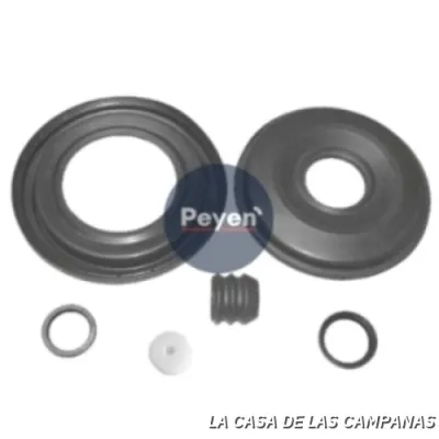 PF-1079 REPARACIÓN SERVO