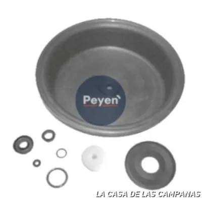 PF-1101 REPARACIÓN SERVO