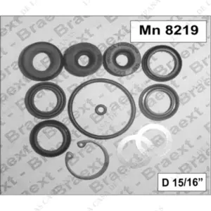 BR8219 Reparacion