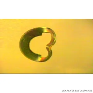 0000382 SEGURO PERNOS