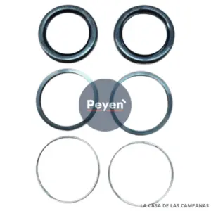 FD-20120 REPARACION CALIPER